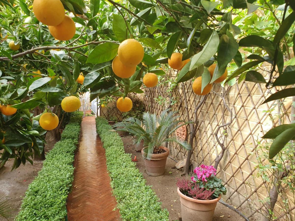 Villa Goethe Agrigento Exteriér fotografie